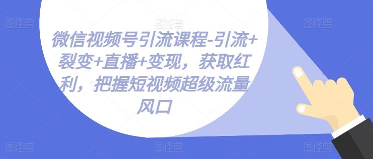 微信视频号引流课程-引流+裂变+直播+变现，获取红利，把握短视频超级流量风口-观棋网创