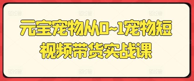 元宝宠物从0~1宠物短视频带货实战课-观棋网创
