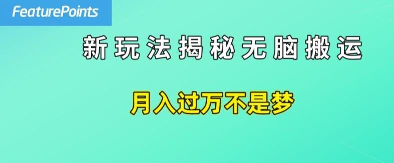简单操作，每天50美元收入，搬运就是赚钱的秘诀【揭秘】-观棋网创