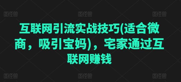 互联网引流实战技巧(适合微商，吸引宝妈)，宅家通过互联网赚钱-观棋网创