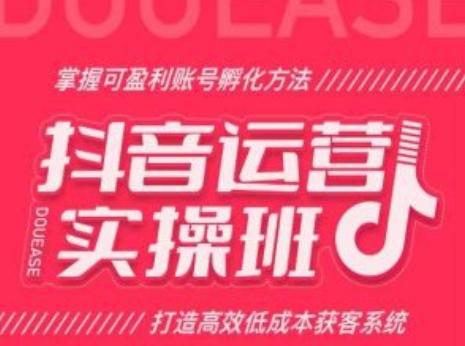 抖音运营实操班，掌握可盈利账号孵化方法，打造高效低成本获客系统-观棋网创