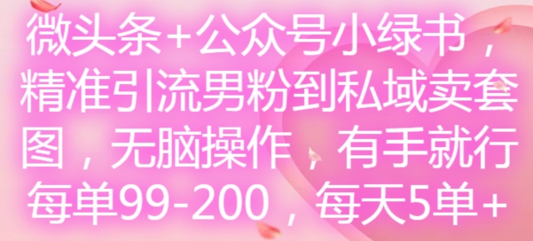 微头条+公众号小绿书，精准引流男粉到私域卖套图，无脑操作，有手就行，每单99-200，每天5单-观棋网创