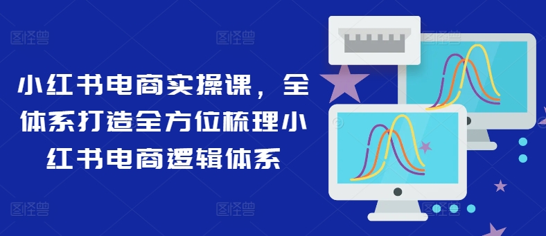 小红书电商实操课，全体系打造全方位梳理小红书电商逻辑体系-观棋网创