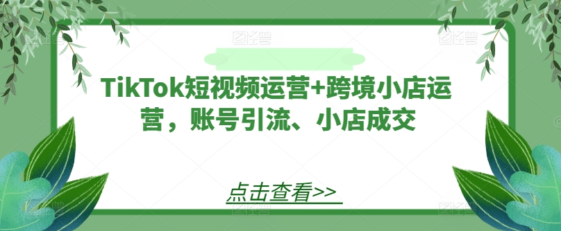 TikTok短视频运营+跨境小店运营，账号引流、小店成交-观棋网创