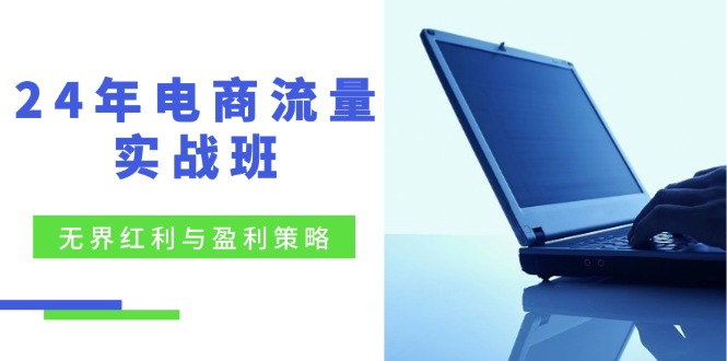 24年电商流量实战班：无界 红利与盈利策略，终极提升/关键词优化/精准…-观棋网创