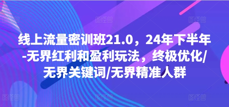 线上流量密训班21.0，24年下半年-无界红利和盈利玩法，终极优化/无界关键词/无界精准人群-观棋网创