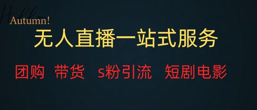 无人直播一站式服务（教程以及变现方式）-观棋网创