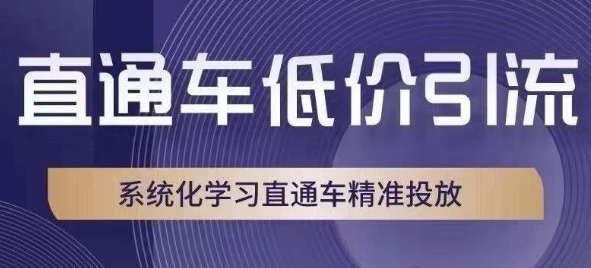 直通车低价引流课，系统化学习直通车精准投放-观棋网创
