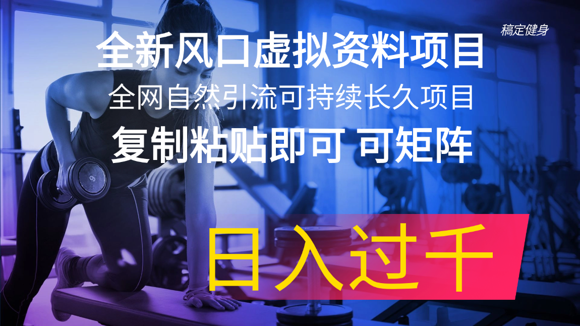 全新风口虚拟资料项目 全网自然引流可持续长久项目 复制粘贴即可可矩阵…-观棋网创