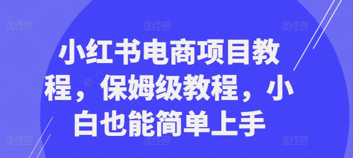 小红书电商项目教程，保姆级教程，小白也能简单上手-观棋网创