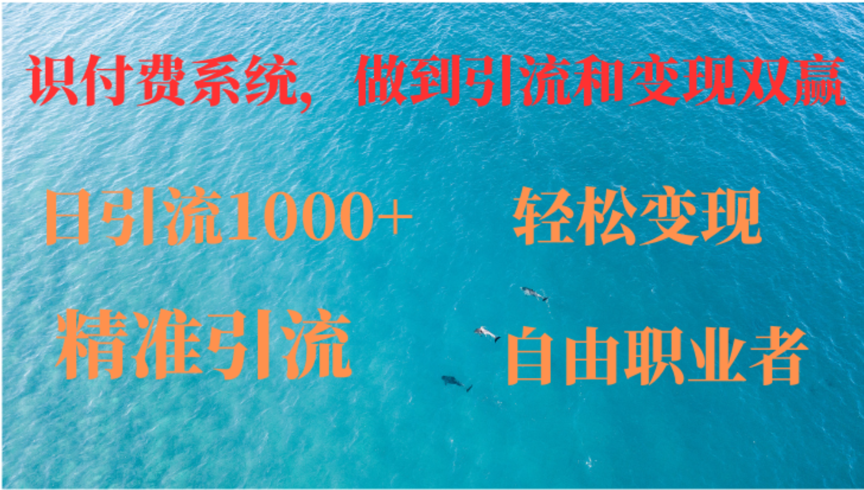 如何搭建自己的知识付费系统，做到引流和变现双赢-观棋网创