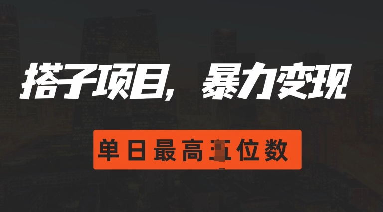 2024搭子玩法，0门槛，暴力变现，单日最高破四位数【揭秘】-观棋网创