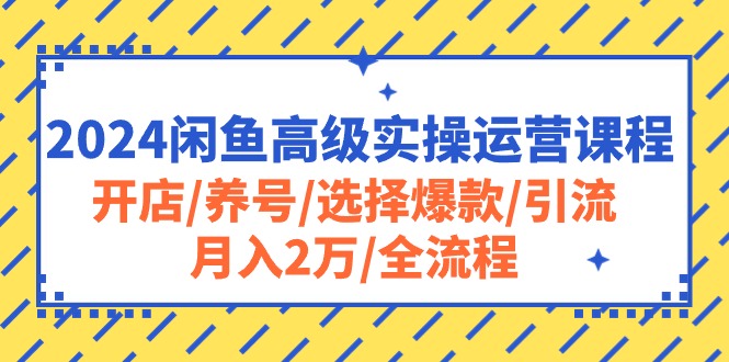 2024闲鱼高级实操运营课程：开店/养号/选择爆款/引流/月入2万/全流程-观棋网创