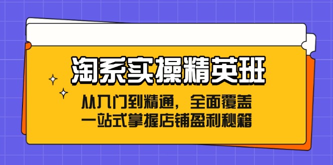 淘系实操精英班：从入门到精通，全面覆盖，一站式掌握店铺盈利秘籍-观棋网创