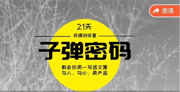 《子弹密码训练营》-用一句话文案勾人勾心卖产品，21天学到顶尖文案大师策略和技巧-观棋网创