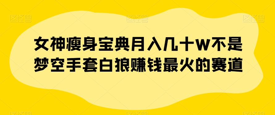 女神瘦身宝典月入几十W不是梦空手套白狼赚钱最火的赛道【揭秘】-观棋网创