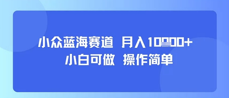 小众蓝海赛道，小白可做，操作简单，每天30分钟，月入1W+-观棋网创