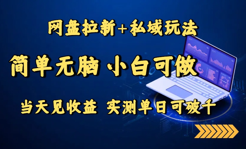 网盘拉新+私域玩法，简单无脑，小白可做，当天见收益，实测单日可破千-观棋网创