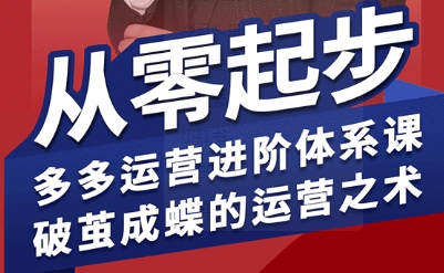 拼多多运营进阶系统课，从零起步，多多运营进阶体系课，破茧成蝶的运营之术-观棋网创
