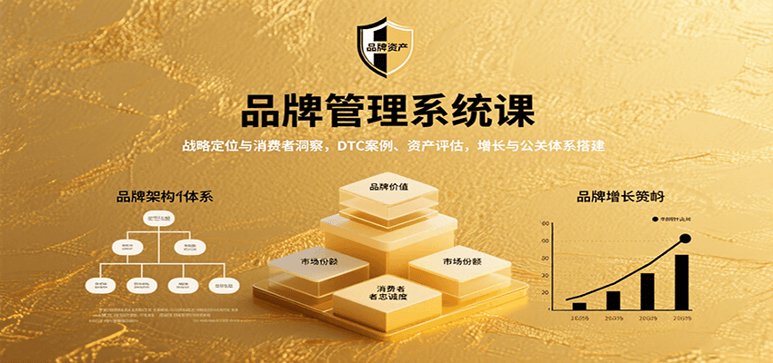 品牌管理系统课：战略定位与消费者洞察，DTC案例、资产评估，增长与公关体系搭建-观棋网创