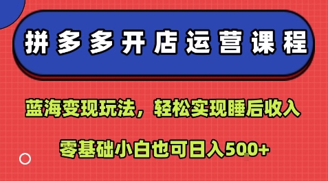 拼多多开店运营课程：蓝海变现玩法，轻松实现睡后收入，零基础小白也可日入5张-观棋网创