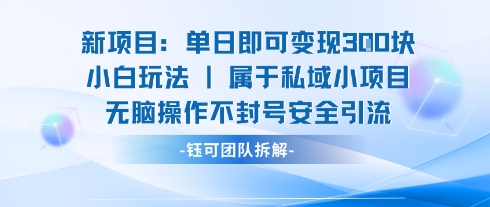 新项目单日即可变现3张的小白玩法无脑操作不封号安全引流-观棋网创