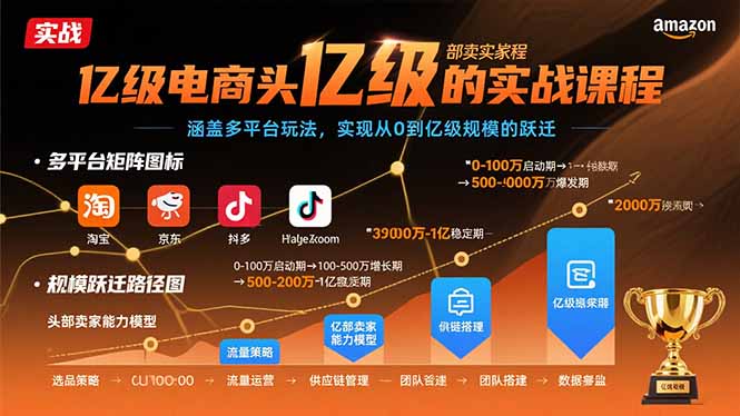 亿级电商头部卖家的实战课程：涵盖多平台玩法，实现从0到亿级规模的跃迁-观棋网创