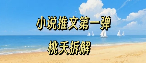 小说推文项目操作全流程第一弹，0粉就能做，门槛低非常适合新手-观棋网创