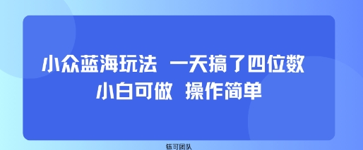 小众蓝海玩法 一天搞了四位数 小白可做 操作简单-观棋网创