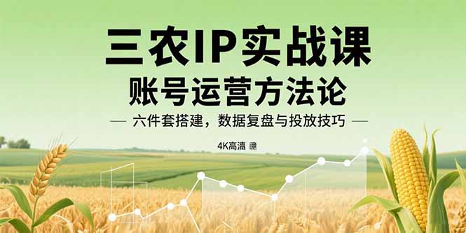 三农IP实战课：账号运营方法论，六件套搭建，数据复盘与投放技巧-观棋网创