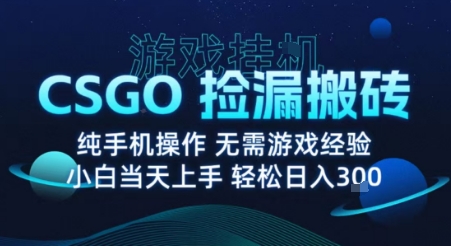 8月最新游戏搬砖，CSGO纯挂G，不需要玩游戏，实现真挂G，月入1W+【揭秘】-观棋网创