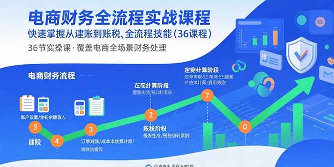 电商财务全流程实战课程：快速掌握从建账到报税的全流程技能(36节课-观棋网创