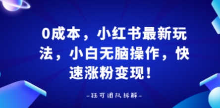 0成本，小红书最新玩法，小白无脑操作，快速涨粉变现-观棋网创