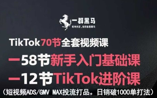 TikTok全套视频课，新手入门+进阶课，短视频ADS-GMV MAX投流打品，日销破1000单打法-观棋网创