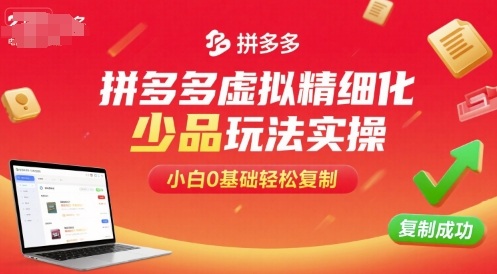 拼多多虚拟精细化少品玩法实操，小白0基础轻松复制-观棋网创