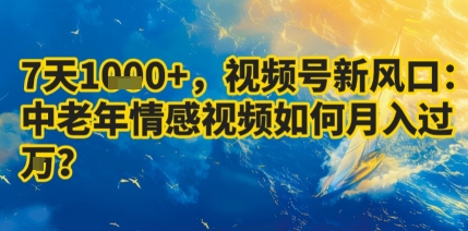 7天收益1k+，视频号新风口：中老年情感视频如何月入过W?-观棋网创
