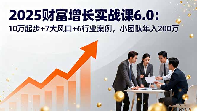 2025财富增长实战课6.0：10万起步+7大风口+6行业案例，小团队年入200万-观棋网创