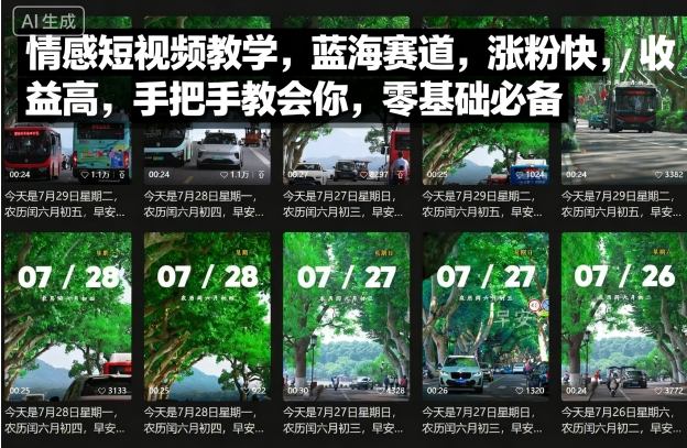 情感短视频教学，蓝海赛道，涨粉快，收益高，手把手教会你，零基础必备-观棋网创