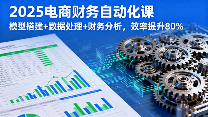 2025电商财务自动化课，模型搭建+数据处理+财务分析，效率提升80%-观棋网创