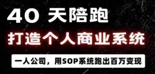 40天陪跑打造个人商业系统，一人公司，用SOP系统跑出百W变现-观棋网创