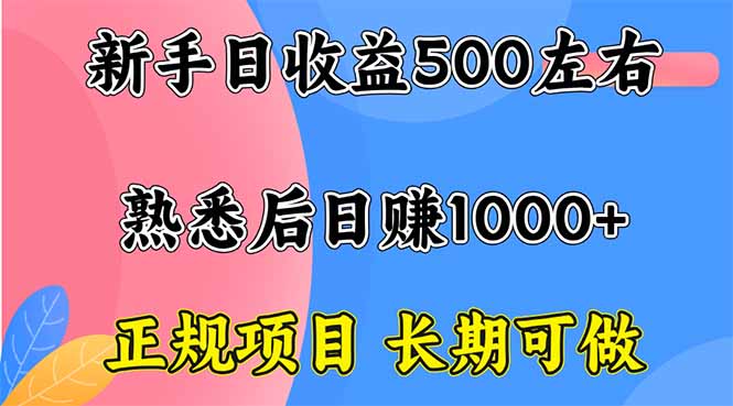 新手日收益500+ 正规项目 长期可做-观棋网创