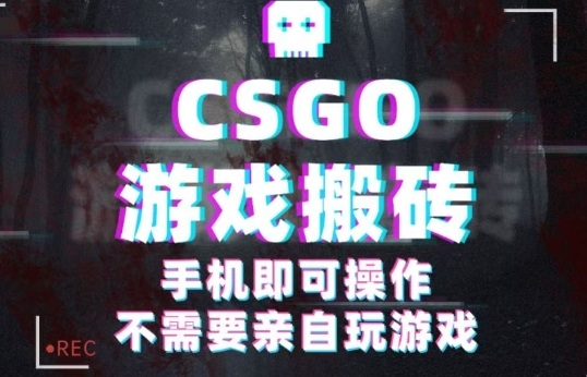 CSGO游戏挂G捡漏，单日扫货5张+，年底小高峰上车可吃肉，手机即可操作，兼职副业创业网创【揭秘】-观棋网创