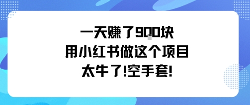 一天挣了9张用小红书做这个项目太牛了，空手套-观棋网创