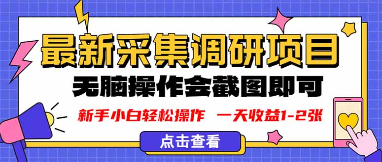 新版采集调研项目，截图上传即可，无脑操作，日收益1-2张-观棋网创
