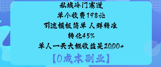 私域冷门赛道:单个收费198米引流模板简单人群精准转化45%单人一天大概收益是1k+-观棋网创