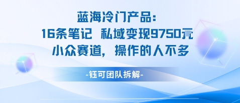 蓝海项目：16条笔记私域变现9750米小众赛道操作的人不多-观棋网创