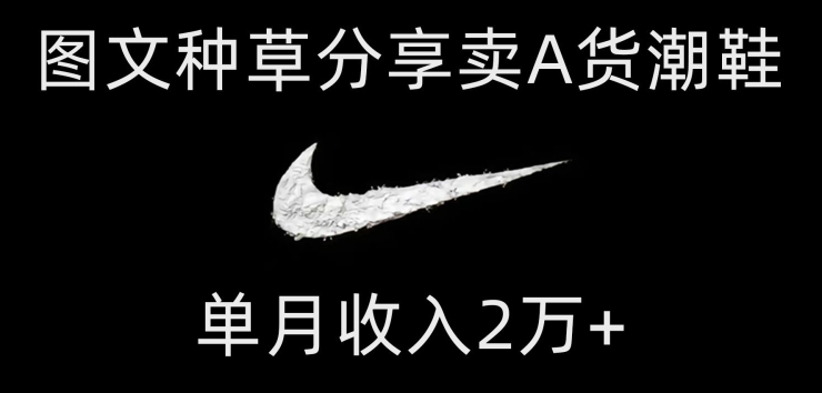 靠图文种草分享卖A货潮鞋，每天一小时，单月收入2万+【揭秘】-观棋网创