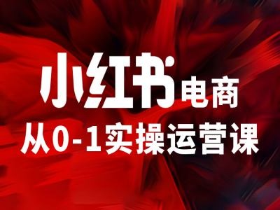 小红书电商从0-1实操运营课，让你从小白到精英-观棋网创