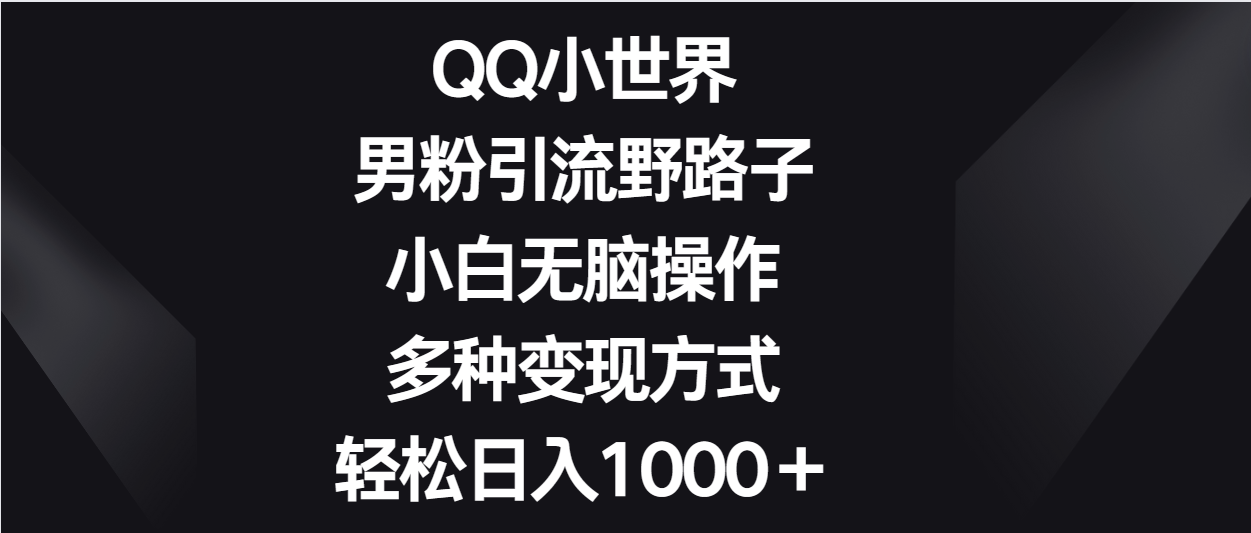 QQ小世界男粉引流野路子，小白无脑操作，多种变现方式轻松日入1000＋-观棋网创