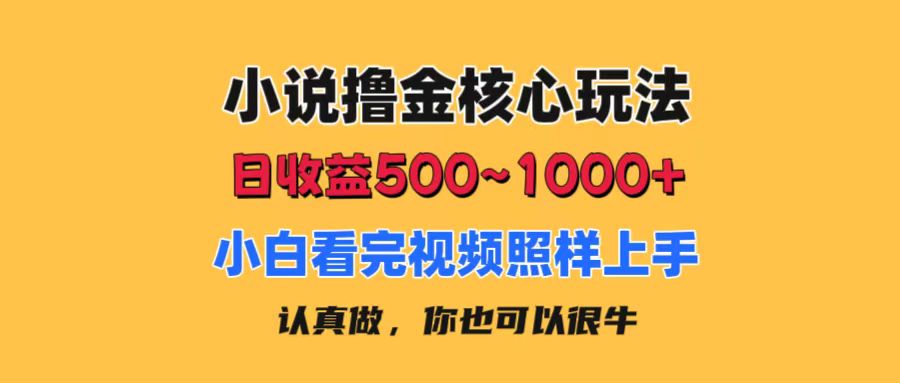 小说撸金核心玩法，日收益500-1000+，小白看完照样上手，0成本有手就行-观棋网创